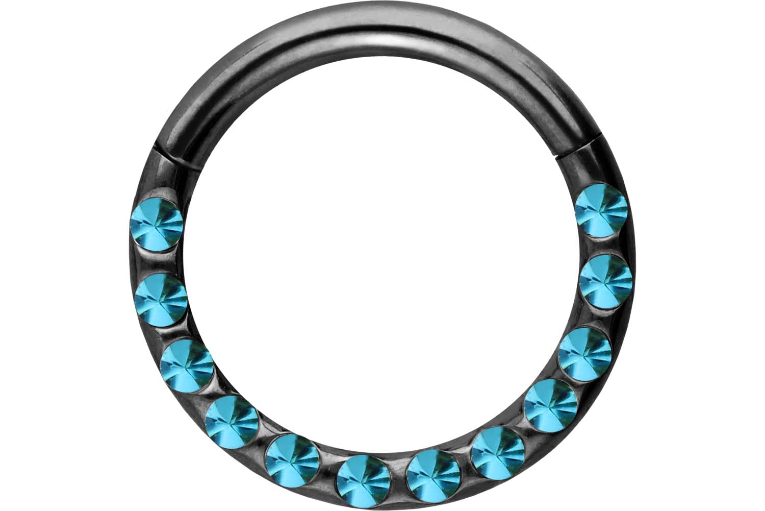 Chirurgenstahl Segmentring Clicker Piercing KRISTALLE + EPOXY ++SALE++